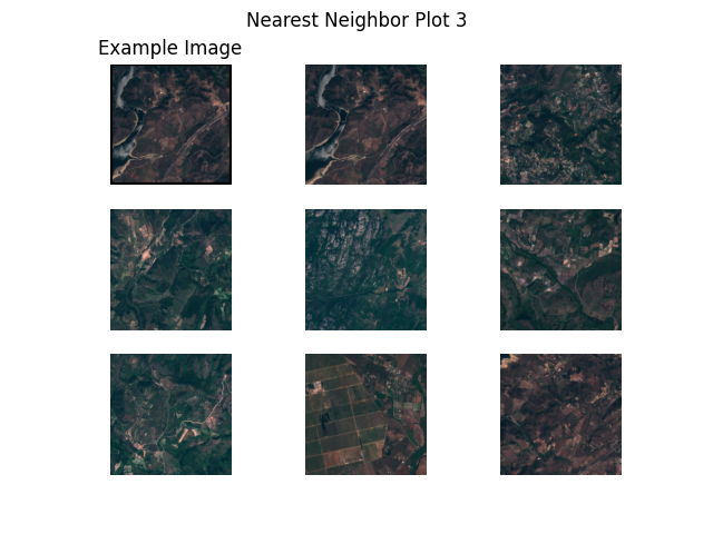Nearest Neighbor Plot 3, Example Image