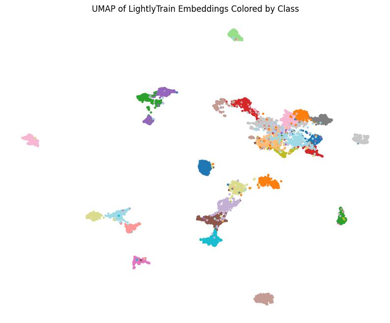../../_images/umap_lightly_train_colored.jpg