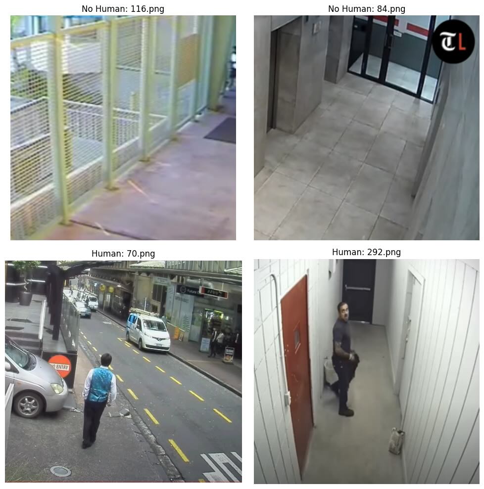 Human Detection Dataset Fine-tuning