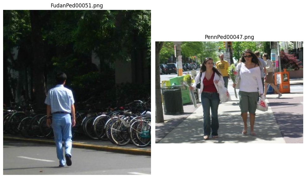 Human Detection Dataset Pretraining