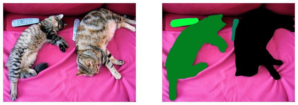 ../_images/cats.jpg