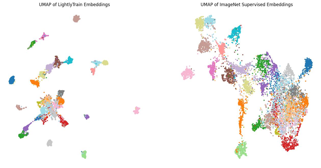../../_images/umap_lightly_train_imagenet_colored.jpg